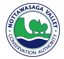 NVCA's Logo'